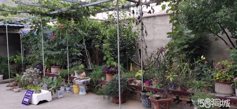 房屋朝南,精装修,采光极好,院内空气清新,院内可以种菜。