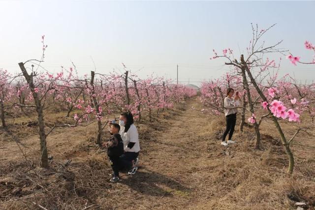 全省首次举办!阜阳这些地方上榜