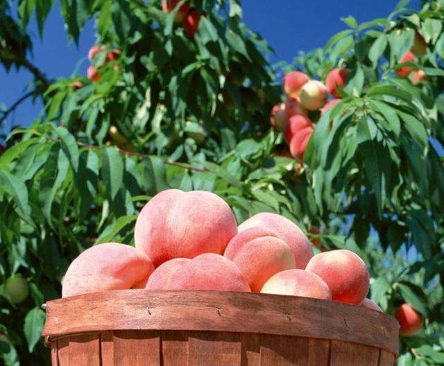 在阜阳，有这样一个地方