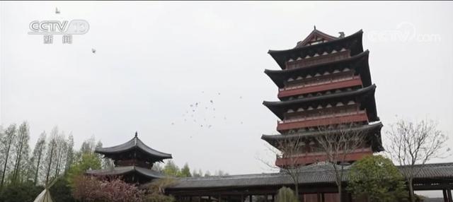 央视报道阜阳！嫩柳清风西湖好 游人相将踏青来